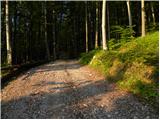 Brezje pri Tržiču - Lešanska planina